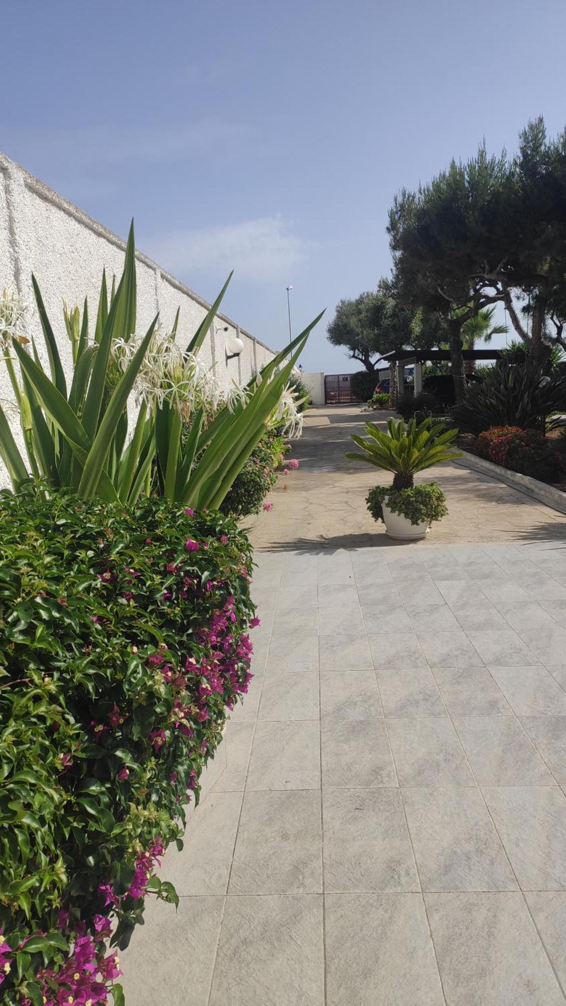 Seagull Apartments - Front And Sea View & Airport Bari Exterior photo